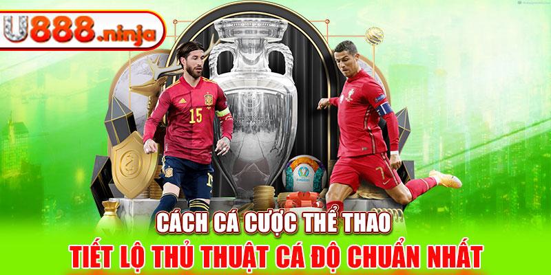 Khám phá chess.com trên PC với trải nghiệm chơi cờ vua đỉnh cao cùng chess.com