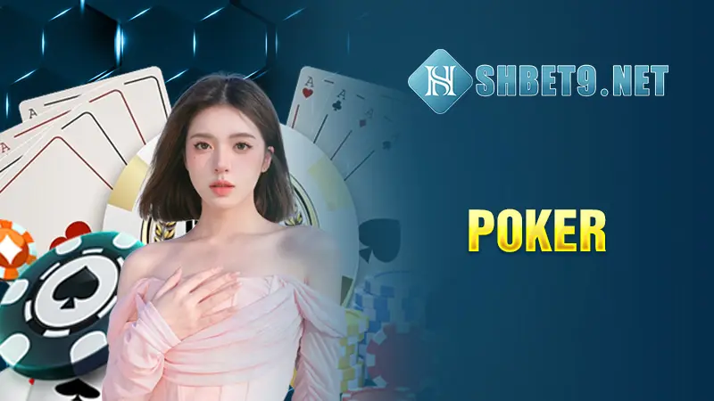 Khám phá cửa hàng cá voi yugioh uy tín tại Việt Nam cùng cá voi yugioh shop