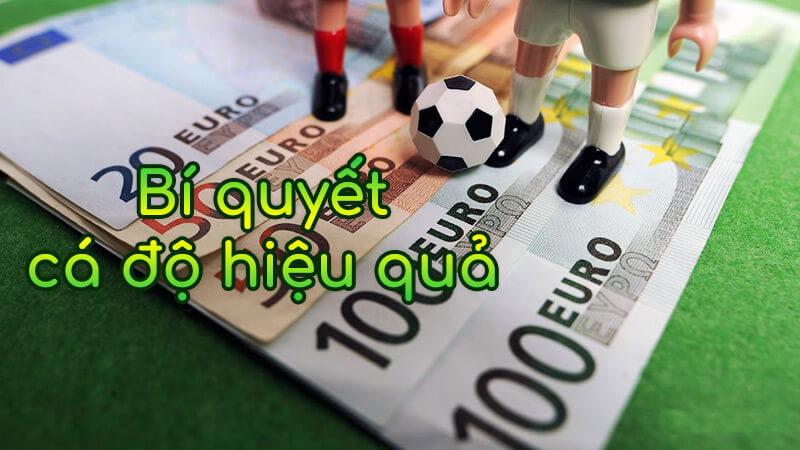 Bao tin tuc cập nhật bao tin tuc mới nhất hôm nay cho bạn